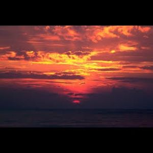 Meet your Posher, Lucy